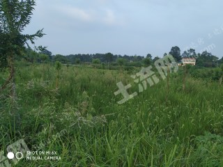 荆门掇刀区300平米农家庭院出租