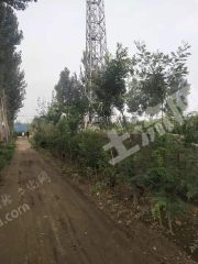 唐山遵化市 6亩 人工牧草地 经营权转让