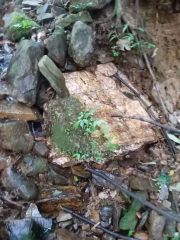 江西抚州 23.1亩 矿山用地 使用权转让