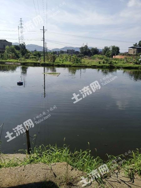 湘潭湘乡市30亩水产养殖用地经营权出租