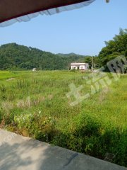 湘潭湘乡市50亩水田经营权出租