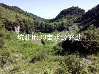 昭通威信县 200亩 旱地 经营权出租