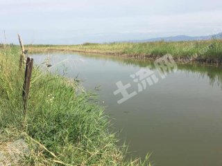 巴彦淖尔乌拉特前旗1000亩水产养殖用地经营权出租