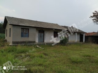 荆门东宝区 200平米 农家庭院 流转