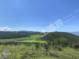 大理剑川县 5542.5亩 乔木林地 经营权转让