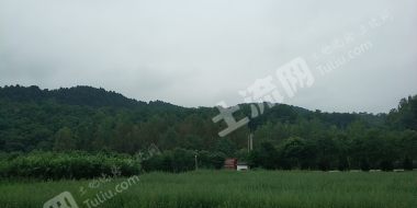 铜川印台区玉华镇300亩荒地出租