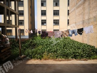 玉溪紅塔區(qū) 120平米 宅基地 使用權出租