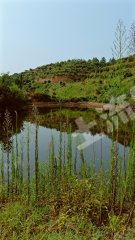 湘潭湘鄉(xiāng)市350000平米度假山莊合作