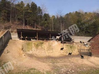 岳阳君山区280亩宅基地使用权合作