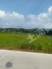 湘潭韶山市500亩水田经营权出租