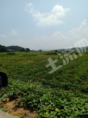 湘潭韶山市500亩水田经营权出租