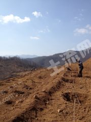三门峡陕州区 4000亩 农场 经营权出租