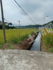 湘潭韶山市800亩水田经营权出租