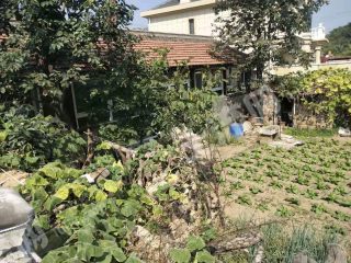 北京昌平區(qū)260平米宅基地使用權(quán)出租