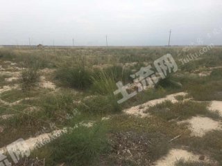 巴彦淖尔乌拉特前旗500亩水浇地经营权转让