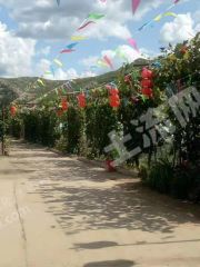 朝阳喀喇沁左翼蒙古族自治县150亩其它林地经营权转让