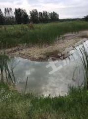 蚌埠淮上区43亩坑塘  经营权转让