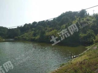 衢州柯城区 10亩 水库 经营权合作