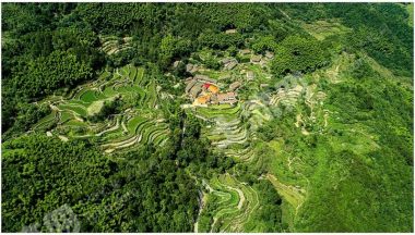 岳阳岳阳县1800亩灌木林地经营权出租