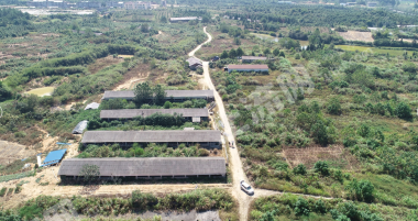 抚州临川区256亩畜牧养殖用地经营权转让