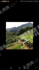 白山浑江区300亩有林地经营权转让