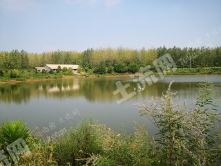 孝感安陆市55亩设施农用地经营权转让