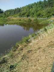 安庆怀宁县80亩水产养殖用地经营权出租