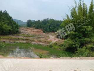 赣州崇义县50亩果园经营权转让