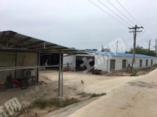 岳阳华容县90亩坑塘经营权转让