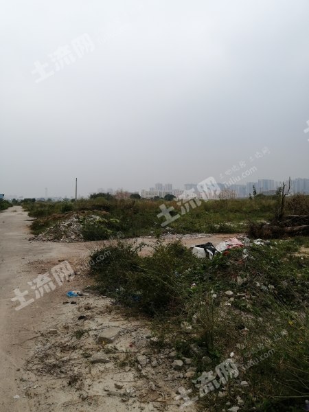 惠州博罗县园洲镇120平方城镇住宅地使用权出让