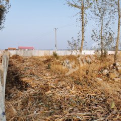 鞍山海城市2500平米宅基地使用權(quán)出租