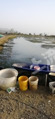 马鞍山当涂县 23亩 水产养殖用地 出租