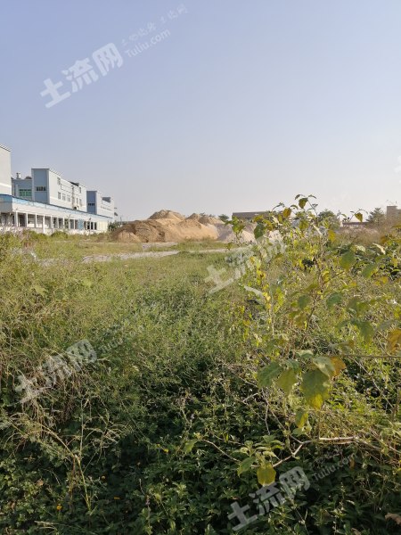 惠州博罗县园洲镇120平米宅基地转让