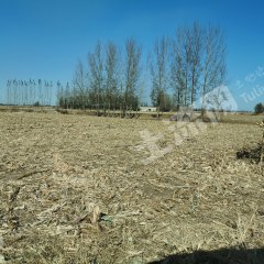 鞍山海城市7.6亩旱地经营权出租