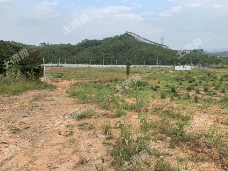 惠州博罗县园洲61亩工业用地转让