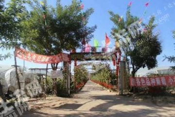 朝阳喀喇沁左翼蒙古族自治县150亩其它林地经营权转让