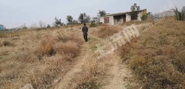 三门峡湖滨区 24亩 设施农用地 经营权出租