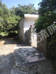 惠州惠东县多祝100平米农家庭院出租