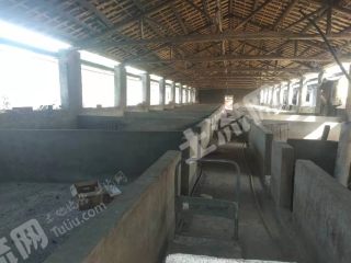 浙江衢州市衢江区 10亩 养猪场 地经营权出租