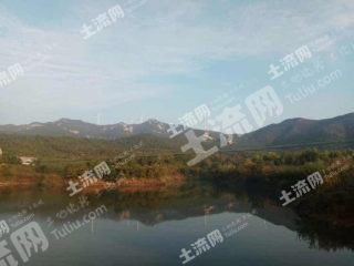 威海文登区 6000亩 乔木林地 经营权转让