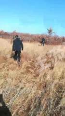 黑河逊克县2400亩旱地经营权出租