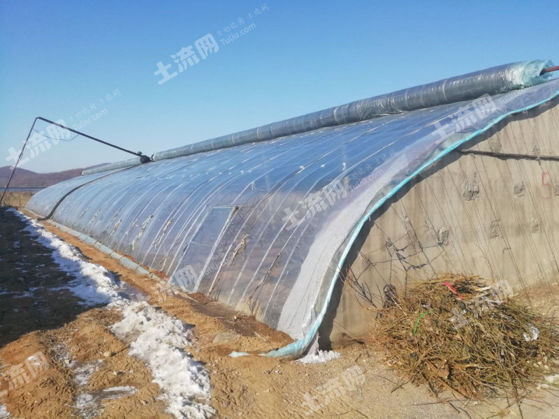 大连普兰店区同益乡50亩果园大棚出租