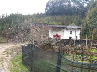 惠州龙门县500平方米农家庭院合作