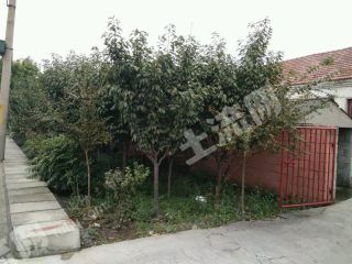 青島平度市張舍鎮(zhèn)1200平米宅基地使用權(quán)出租