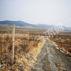 center_mid