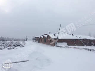 吉林龙潭区375亩畜牧养殖用地经营权转让