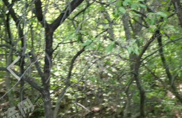 铁岭调兵山市270000平米度假山庄出租