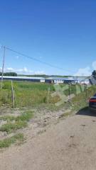 齐齐哈尔拜泉县6亩畜牧养殖用地经营权转让