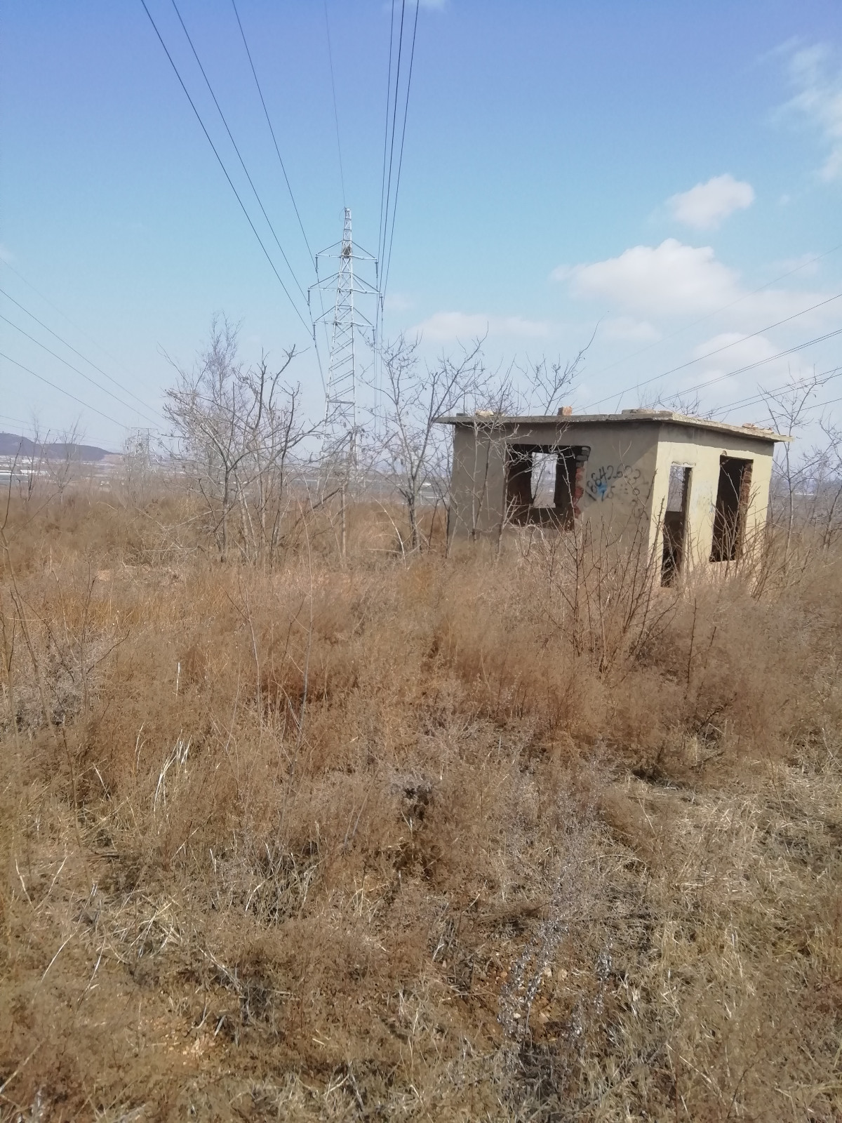 大连金州区七顶山街道图片