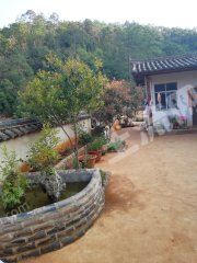 富民县赤鹫镇经济总量_富民县罗免镇照片(2)
